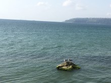 IMG_3973